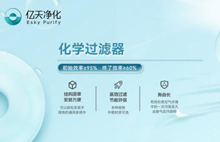 化學過濾器的吸附原理是什么？